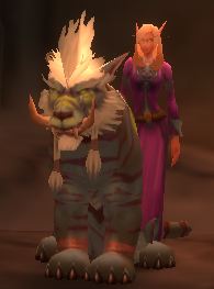 Cat form and belf friend